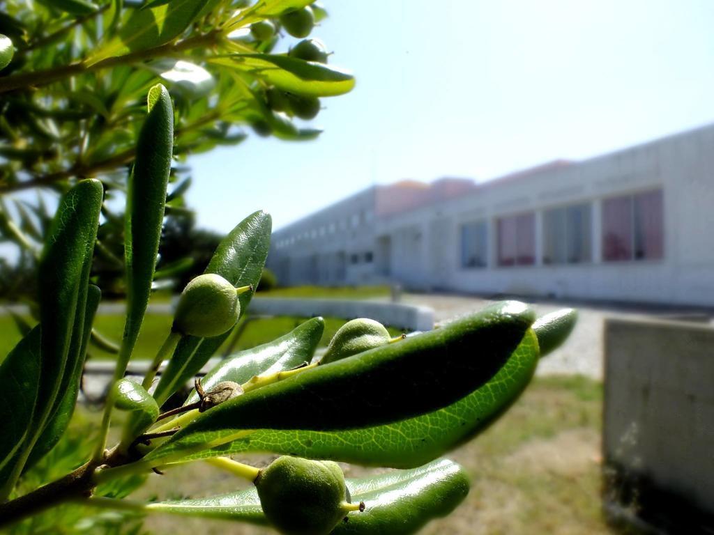 Hi - De Juventude Hostel *